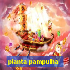 planta pampulha